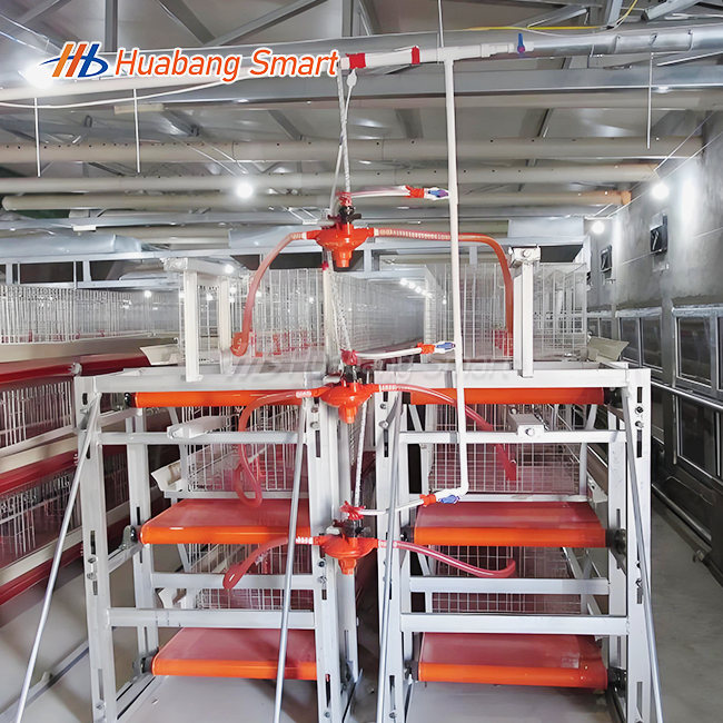 Fully Automatic Broiler Chicken Cage